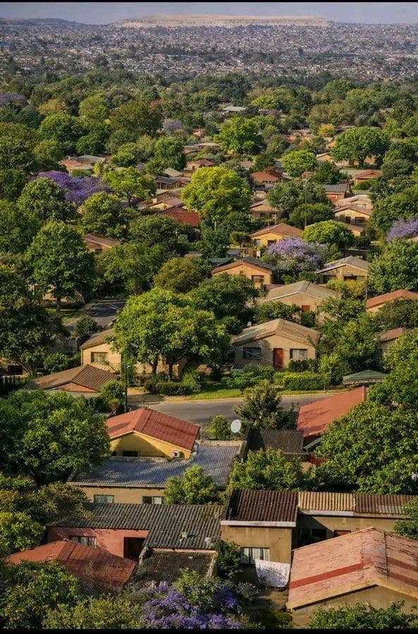 What Makes a Good Neighborhood? A Renter’s Checklist